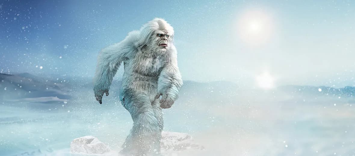 Winter Survival Optimization Plan